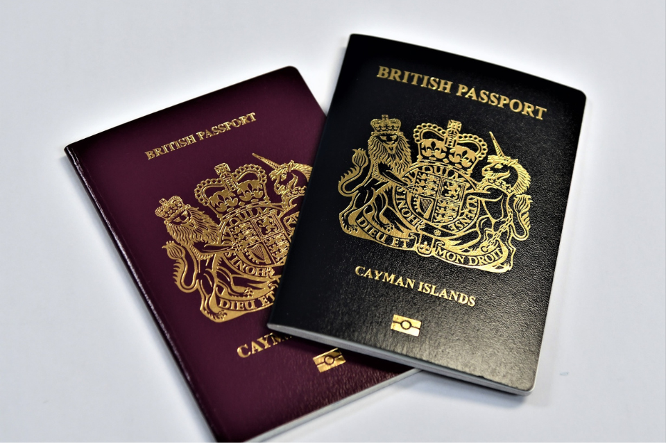 Passports_-New_20250928_003545_8544.png