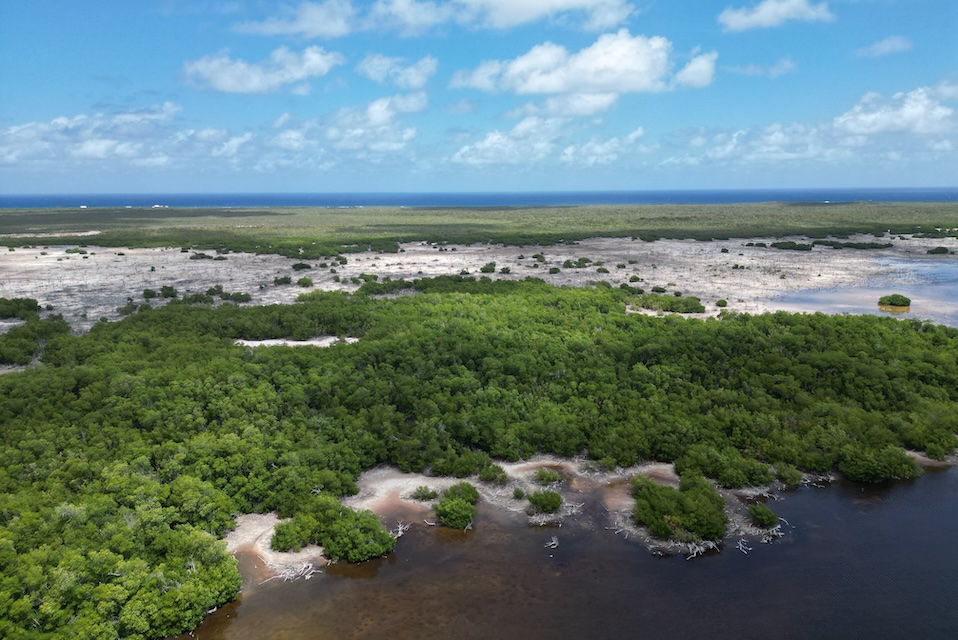 Tarpon Lake in Little Cayman is now formally designated for protection under the National Conservation (Protected Areas) Order 2026. 